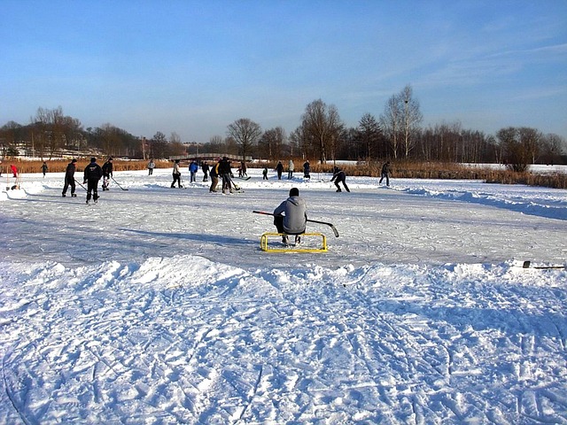 Paisaje nevado y jugando al hockey